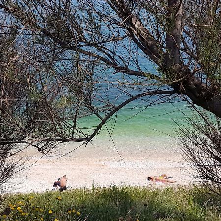 Casa Vacanze La Scalinata Bisceglie Dış mekan fotoğraf