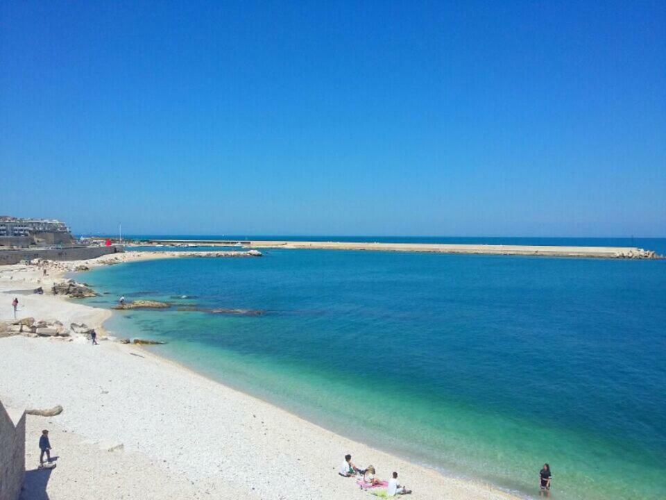 Casa Vacanze La Scalinata Bisceglie Dış mekan fotoğraf